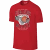 NC State Wolfpack 2024 Men's Basketball Final Four Years Red T-Shirt(Nc State Wolfpack 2024 Mens Basketball Final Four Red T Shirt)